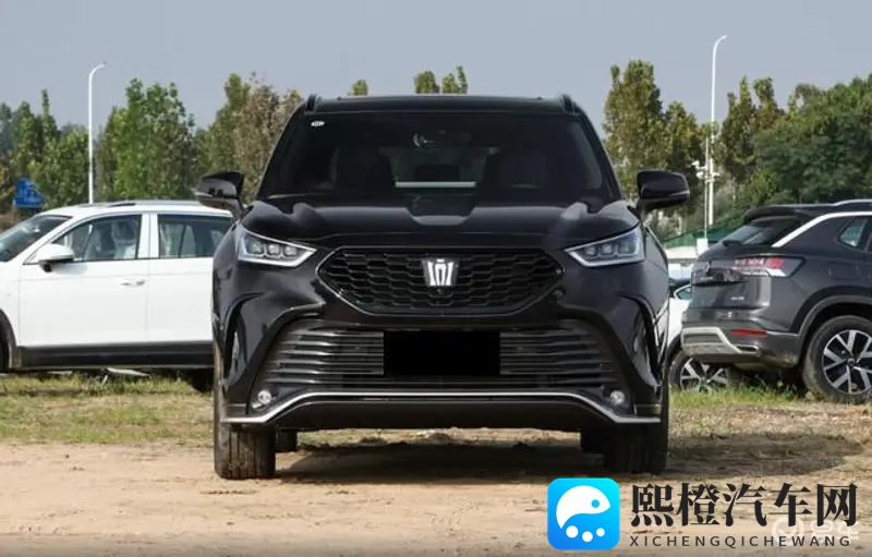 黑人破苞疼哭A片:新能源汽车崛起,自动驾驶革新,汽车未来可期-2