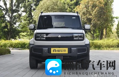 宝骏悦也两周年版将临,纯电小车市场震荡-2