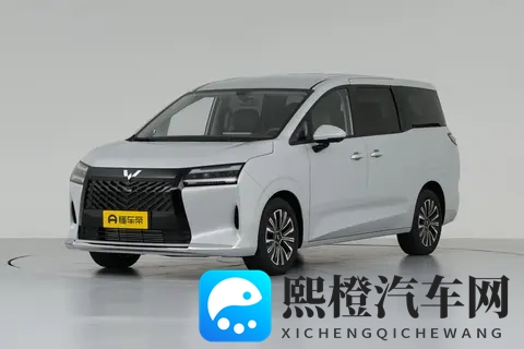 星光730：一车三动力加持，“真”全能舒享大7座，好开更好坐-2