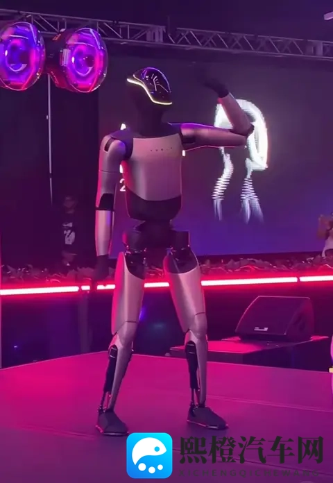 特斯拉VS小鹏:一个练太极一个走猫步,谁才是未来“打工人”?-1