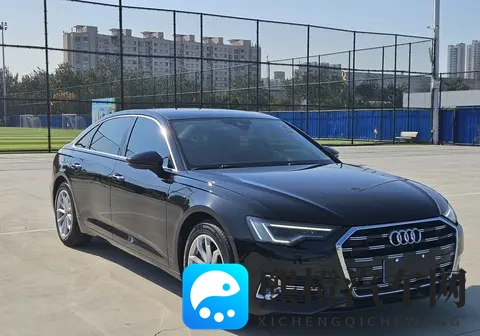 19款奥迪A6L：不到20万，宜商宜家豪华座驾-2