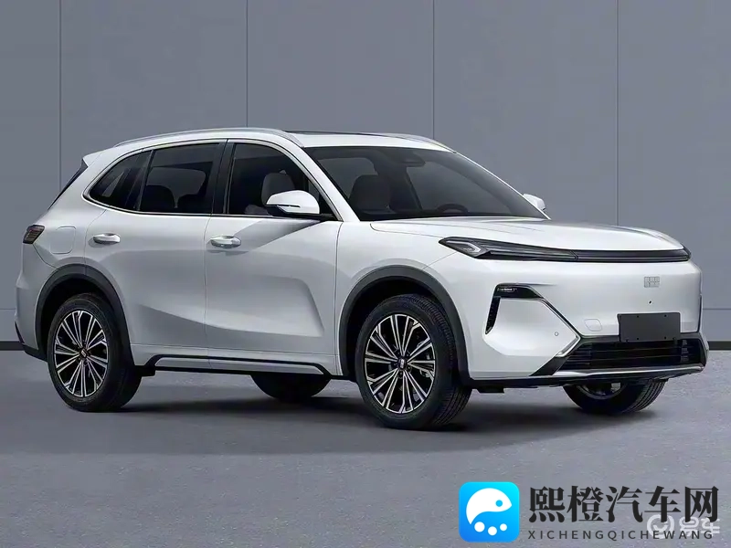 台湾佬中文娱乐22：台湾风华娱乐盛宴，精彩不容错过-2