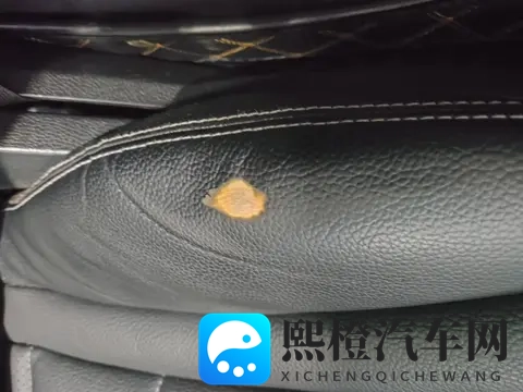 大六座安全豪华SUV腾势N8L正式上市-1