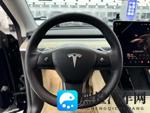 特斯拉Model Y抄底价？3万公里准新车，通勤代步优选-2