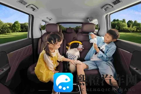 菜农拉货，宝妈带娃，年轻人创业，五菱MPV装下了800万人的生活-2