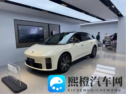 电厂  购置税变天之前，汽车公司“撒钱买量”-1