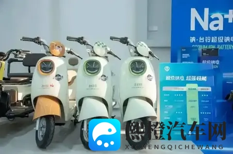 第1批换钠电池的车主，电动车怎么样了？行内人：这3类人没必要换-2