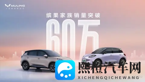 缤果家族累销突破60万辆 缤果S首月销量突破24000辆-2