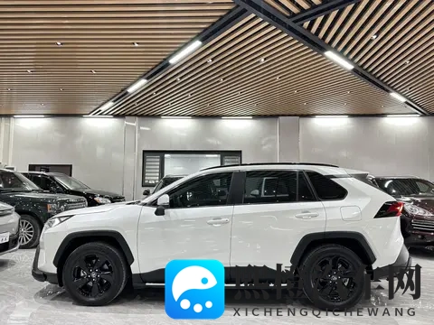 成人 福利APP导航:精选成人福利应用,便捷导航一触即达-2