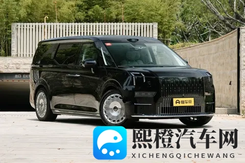 宜商宜家的豪华 MPV新选择！试驾极氪009，11月促销再添新动力-3