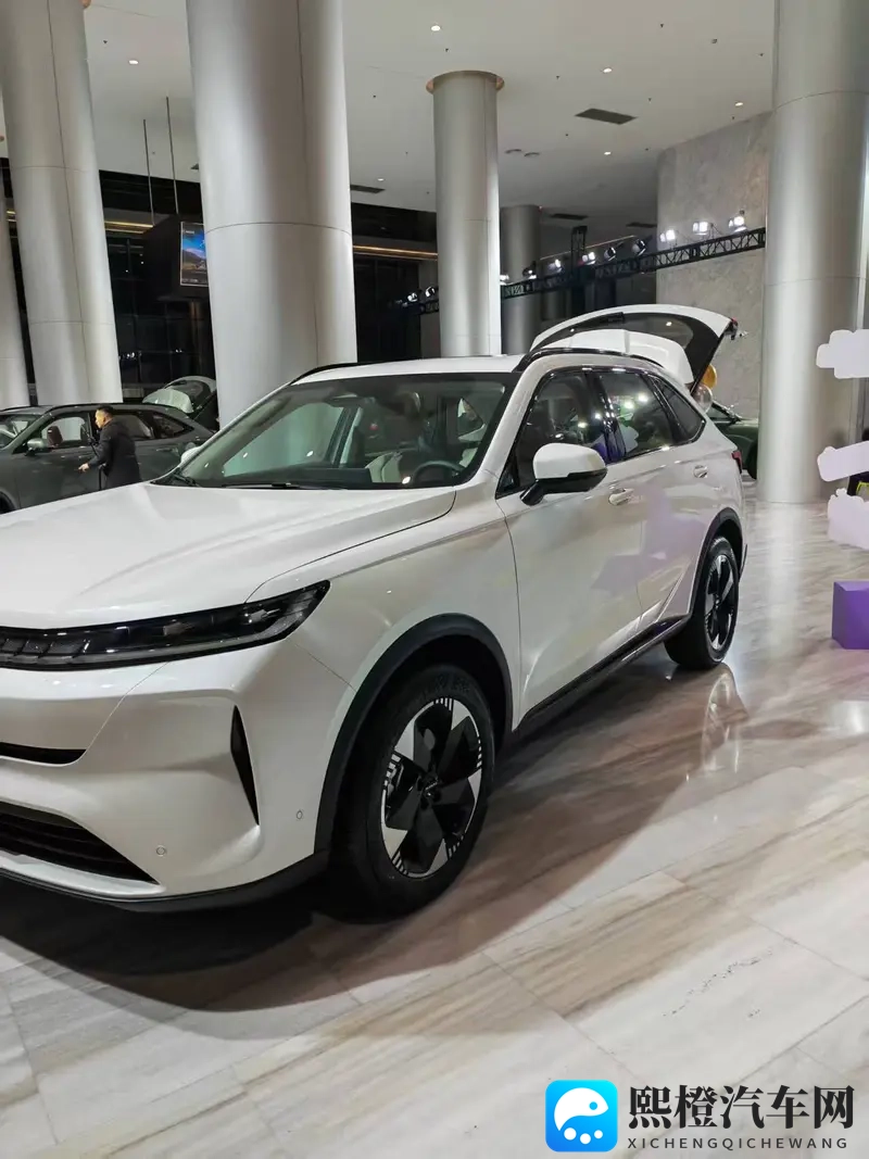 哈弗H6L正式上市:1039万起开启“为爱升舱”新旅程-1