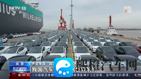 “混动”破局：中国车企以灵活打法驶入全球市场新赛道-2