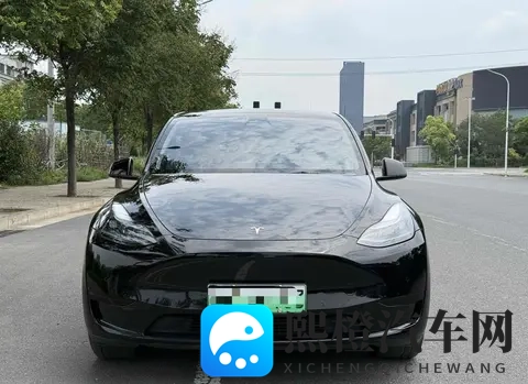 二手特斯拉Model Y购买指南：性价比，风险，未来？-3