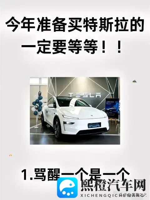 特斯拉车主血泪忠告:5个智商税坑2万,提车用车售后避坑指南-1