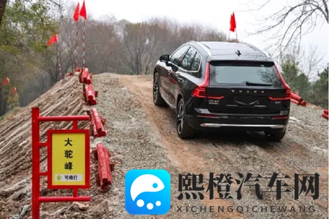 男人和雌性宠物啪啪:汽车宠物友好设计,出行更安心-2