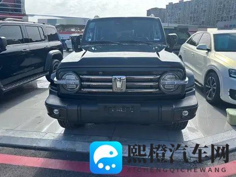 硬派越野触手可及,3万公里一手坦克300,圆你越野梦-3