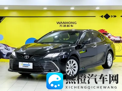 抖阳:阳光照耀下的欢快舞动-3