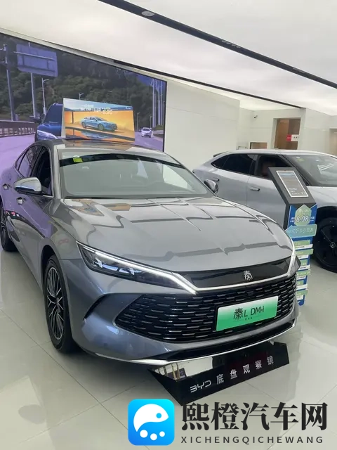 年度销量TOP10出炉，7款新能源霸榜，燃油车仅剩3席，时代真的变-1