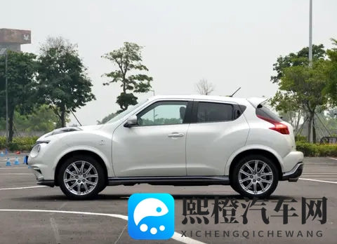 设计跳出三界外 盘点五款国内有一定能见度的“颜王”车-1