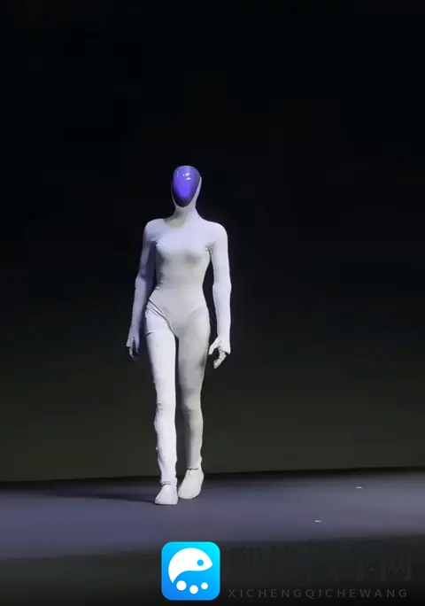 特斯拉VS小鹏:一个练太极一个走猫步,谁才是未来“打工人”?-2