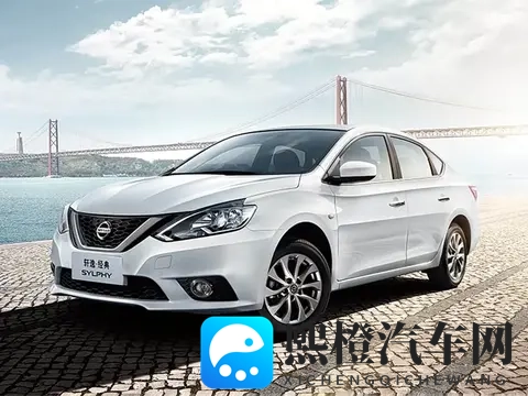 xb567 cc：科技新宠，汽车市场新贵亮相引关注-3