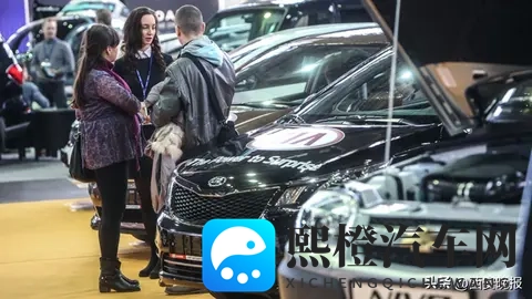 双重绞杀，中国汽车对俄出口骤降六成-2