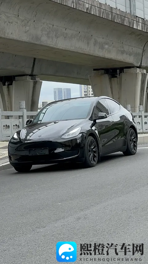 17万多拿下特斯拉Model Y，代步家用真香？-3