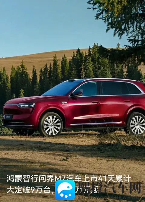 juliaann办公室与黑人：黑人职场现状，Juliaann办公室见闻-3