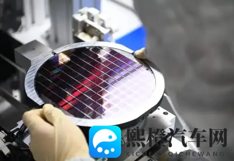 打扑克做运动:扑克游戏,轻松锻炼身心-2