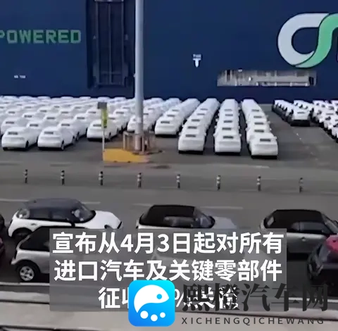 男生和女生一起差差差很疼的视频软件：情侣互动疼痛体验视频应用-2