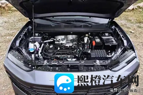 我被两个老外躁到早上:遭遇两位外籍人士,深夜交谈至晨-1