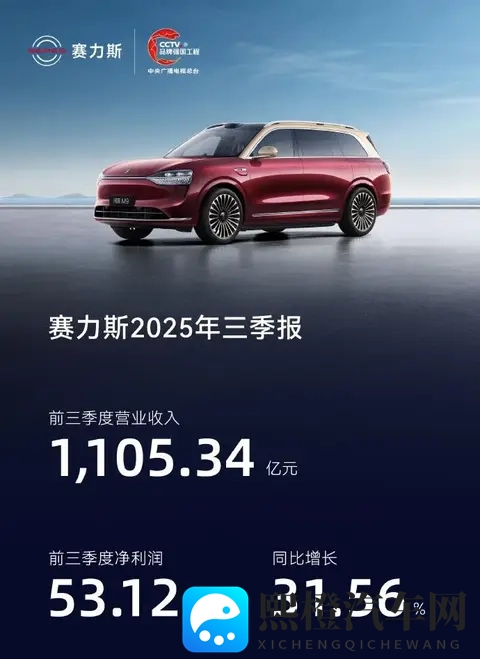 赛力斯发布第三季度财报,营收增长,利润微降-1