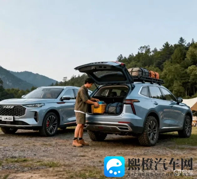 欧美日韩一卡:全球汽车巨头联手,共筑市场新格局-2