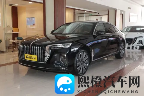 2025 款红旗 H9 改款车型配置差异与场景化选买指南-1