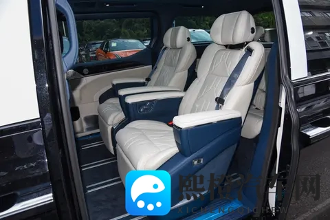 别只当它是商务车！极氪009超5成是家用，1-9月交付3万台-1