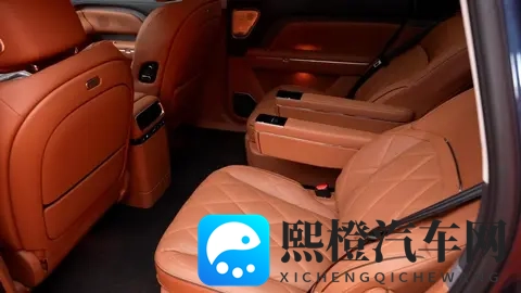 岚图泰山静态体验,都有哪些亮点?-3