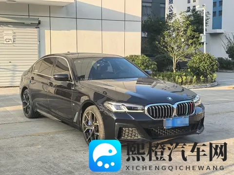 25万多拿下宝马5系，2022款530Li，体验豪华驾驭！-3