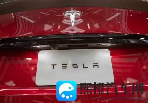 特斯拉降价,马斯克赌政策,技术暗线浮出水面-2