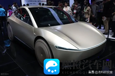 特斯拉在华失势-2