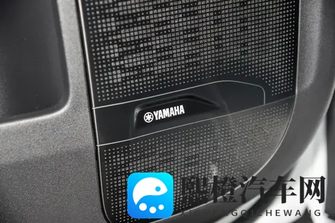 宜商宜家新选择，极氪009七座过道版实力如何？-2