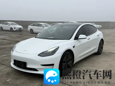 三年Model3，加速56秒，电车二手行情香不香？-1