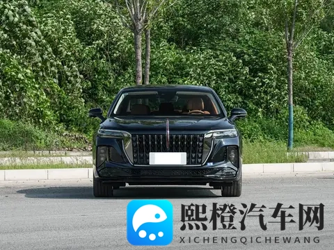 这款中大型车外观豪华，车长超5米1，30T V6+空气悬架，还看啥A6L-1