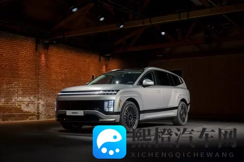 现代起亚电动车美国一夜崩盘：7500美元补贴取消后，销量直接腰斩-3