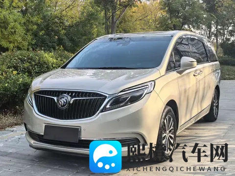 宜商宜家好选择，19年别克GL8，12万多带走-2