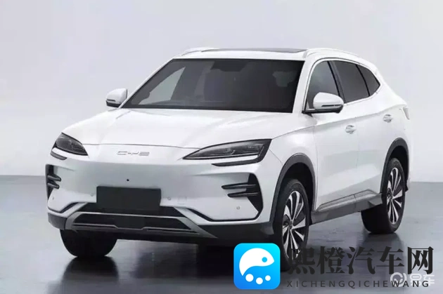 小黄片链接：不良视频资源链接汇总-1