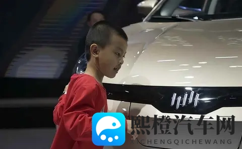 一夜负债200亿？电动车巨头轰然倒塌：终于活成贾跃亭信徒-2