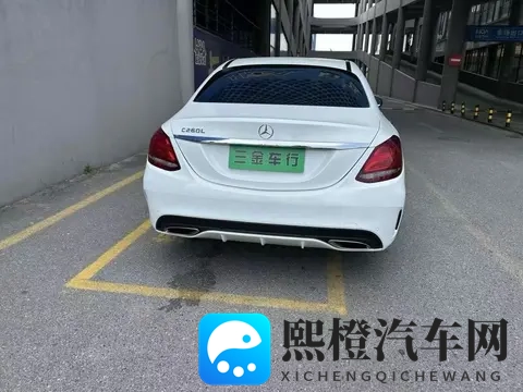 新能源市场如何“慢工出细活” EO羿欧吹响北现反攻号角-1