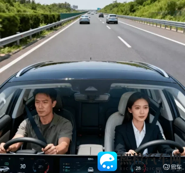 三级大但人文艺术的文化内涵:融合古今,艺术驾驶体验:探寻独特汽车文化之旅-3