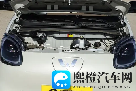 标配快充,续航205km,2025款五菱宏光MINIEV买哪款合适?-1