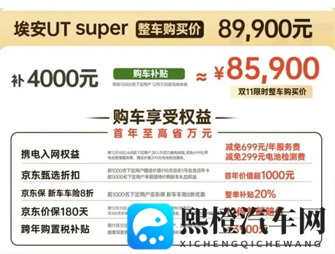 只要499万!京东“国民好车”上市-3
